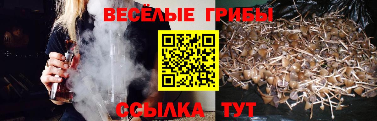 Галлюциногенные грибы ЛСД Кумертау